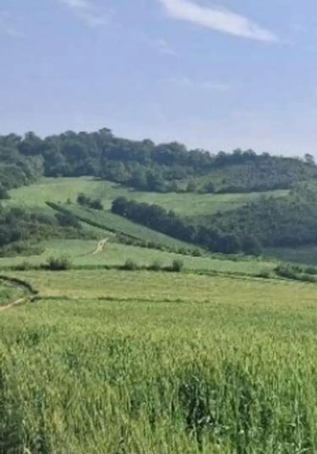 فروش زمین