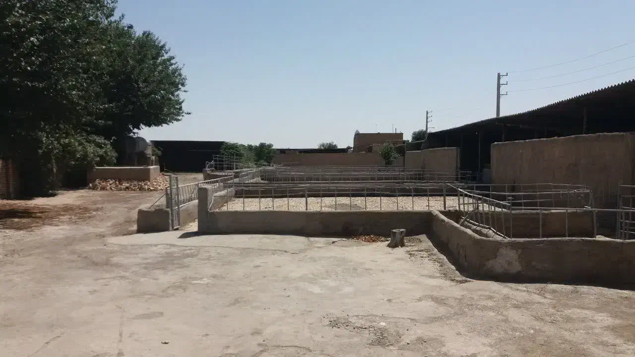 فروش دامداری پرواری سند ۶ دانگ