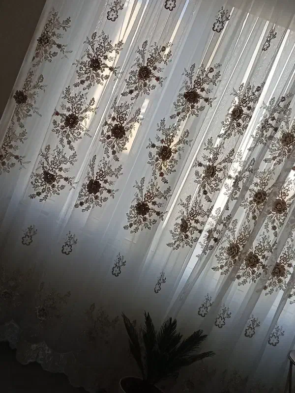 اجاره اپارتمان