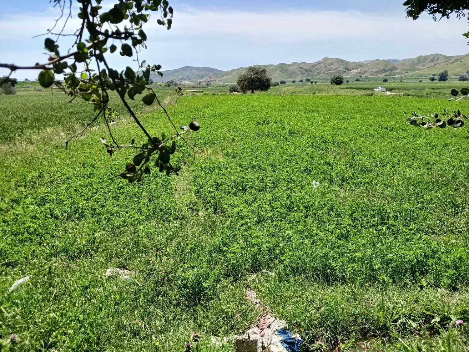 ملک تجاری