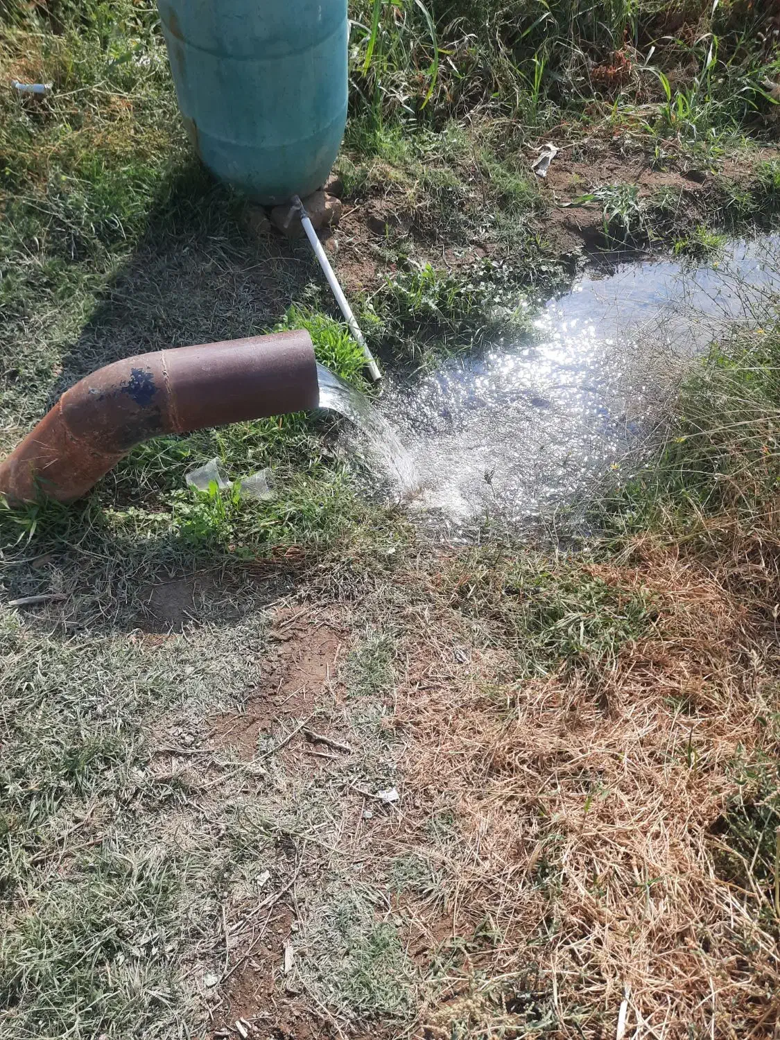 زمین کشاورزی