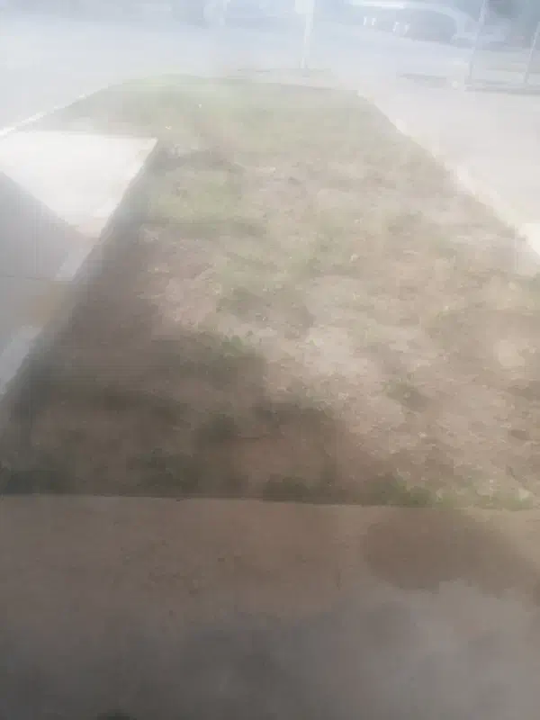 زمین باغی پهلوان کشی