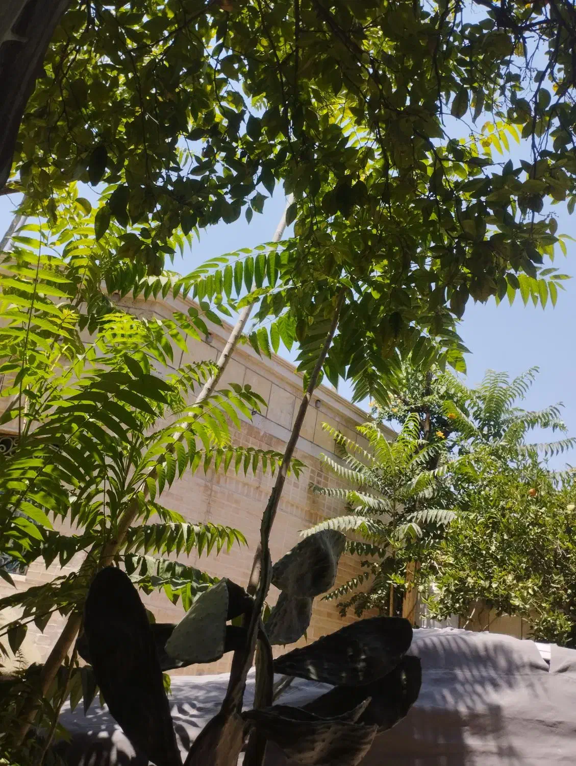 رهن  منزل مستقل ویلایی
