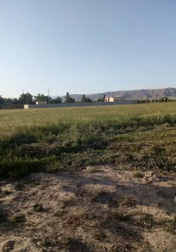 زمین سند شش دانگ ملکی بفروش میرسد