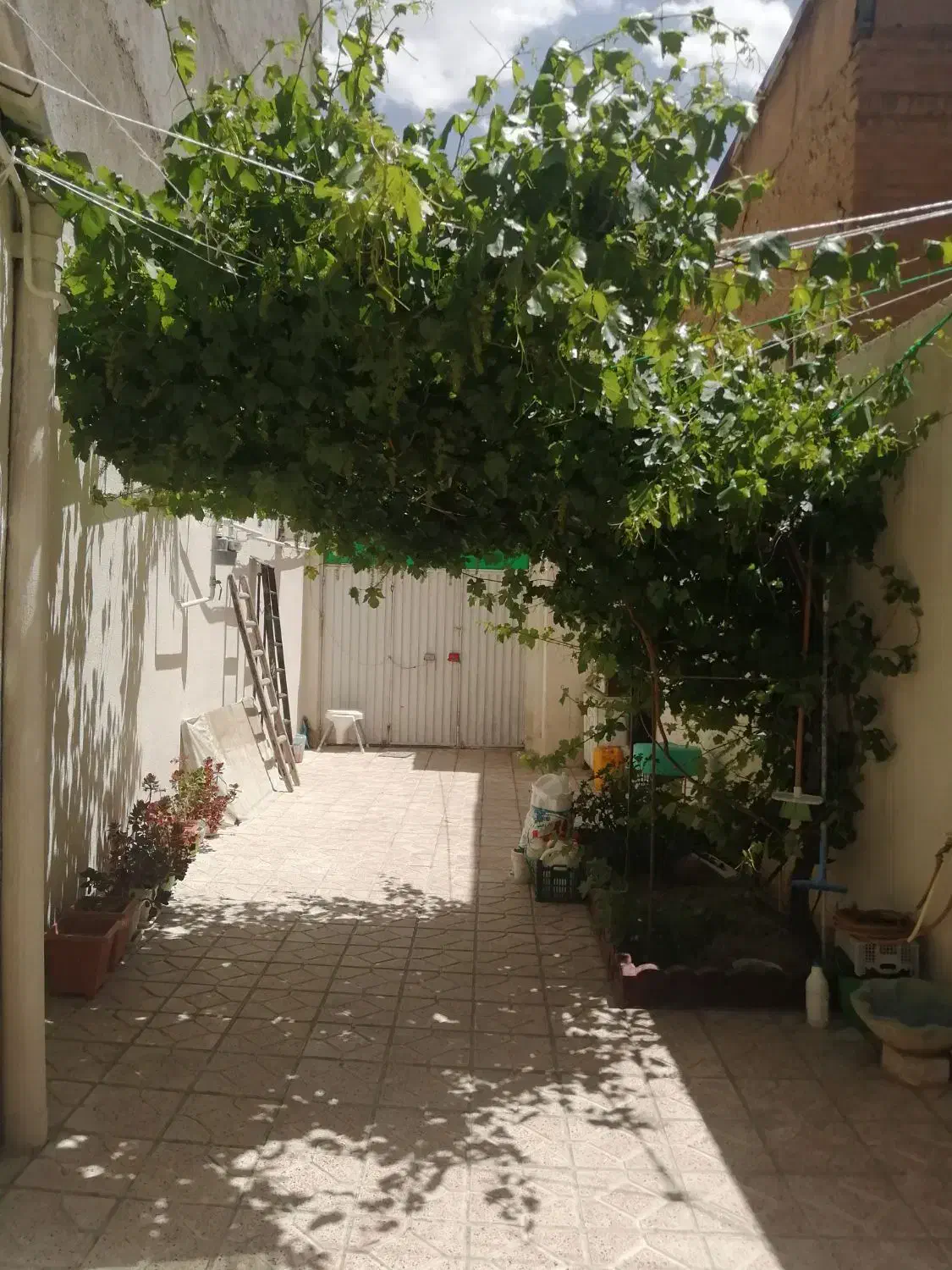 حیاط ویلایی ماشین رو