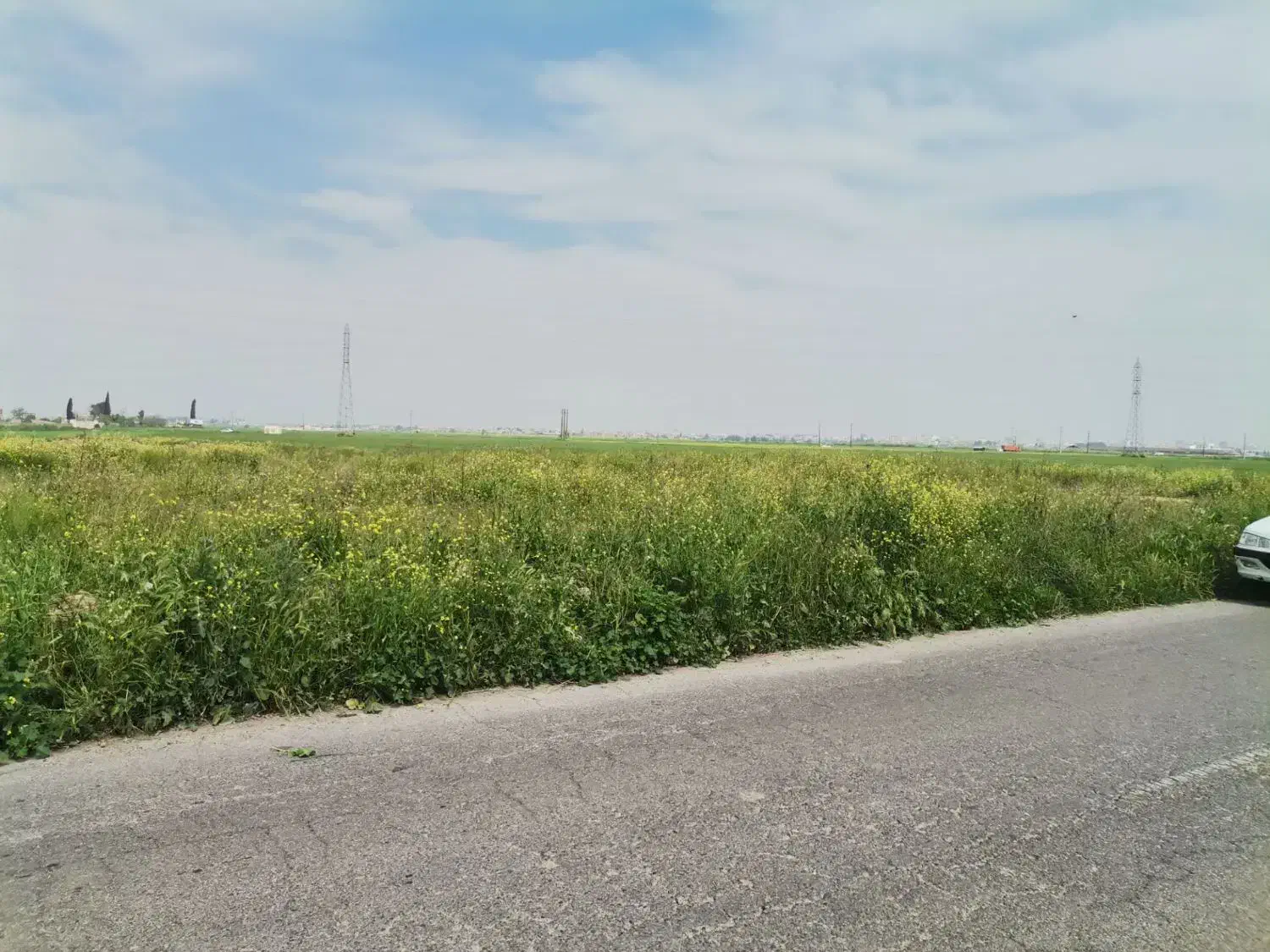 فروش زمین زراعی باغی
