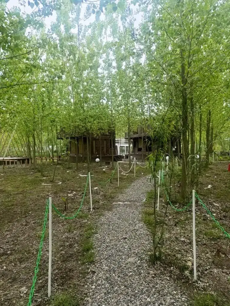 قیمت استثنایی فقط برای مدت محدود
