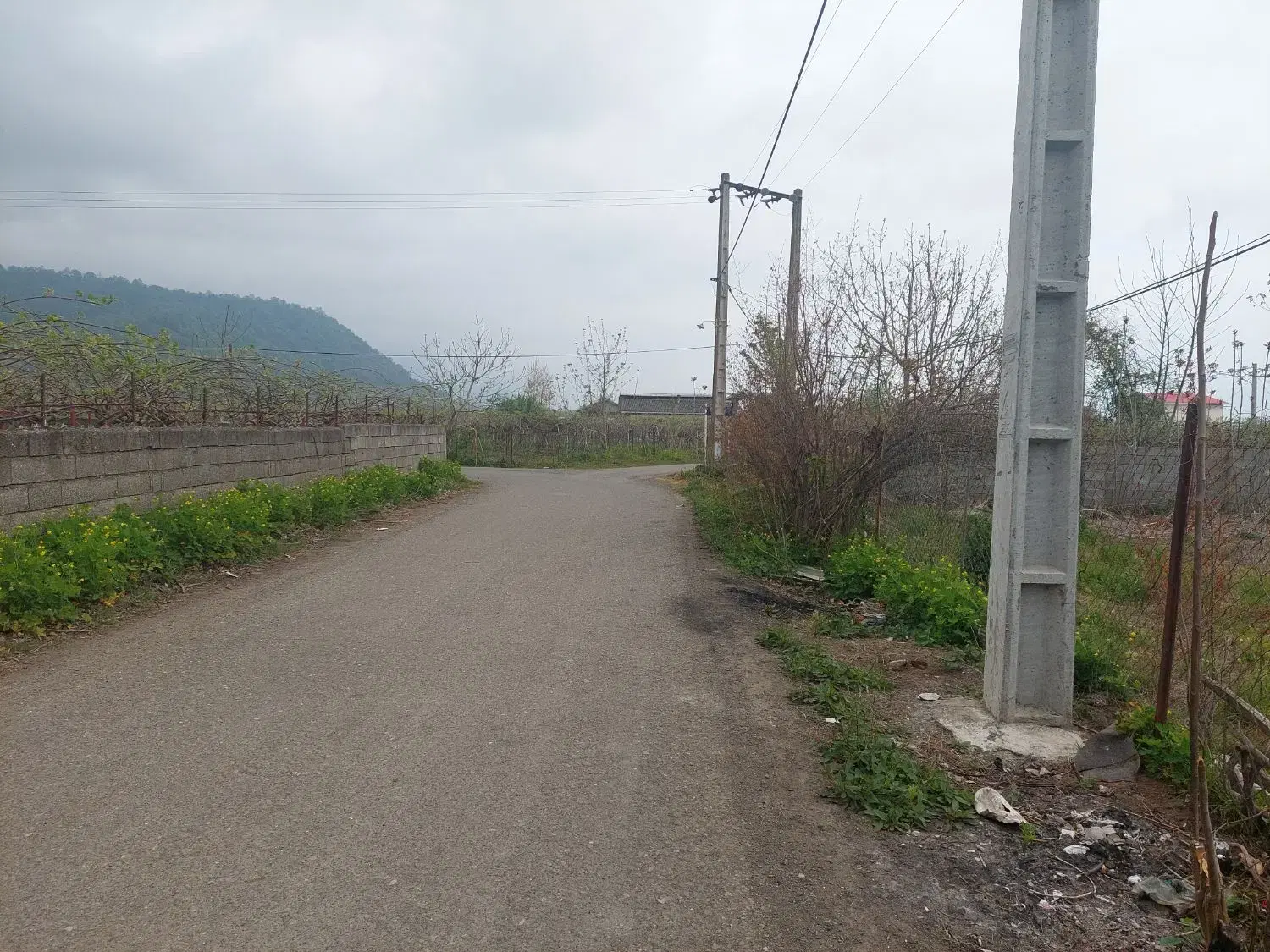 زمین مسکونی سند تکبرگ