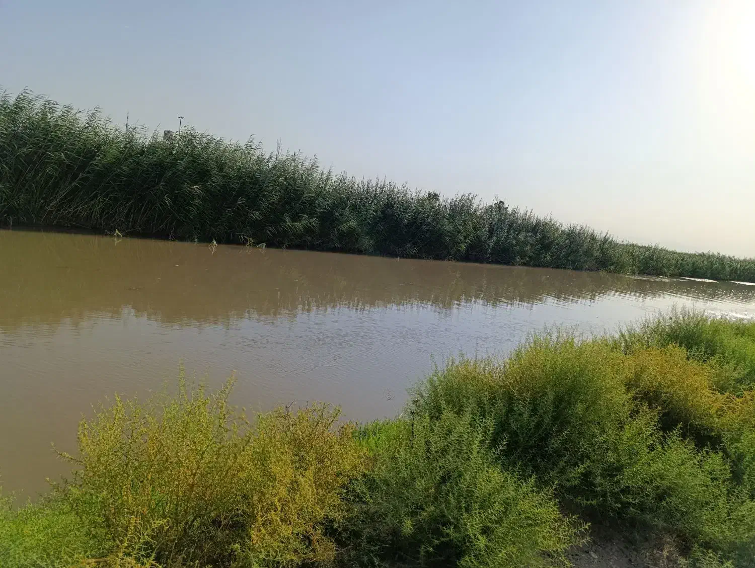 فروش یک هکتار زمین مزروعی