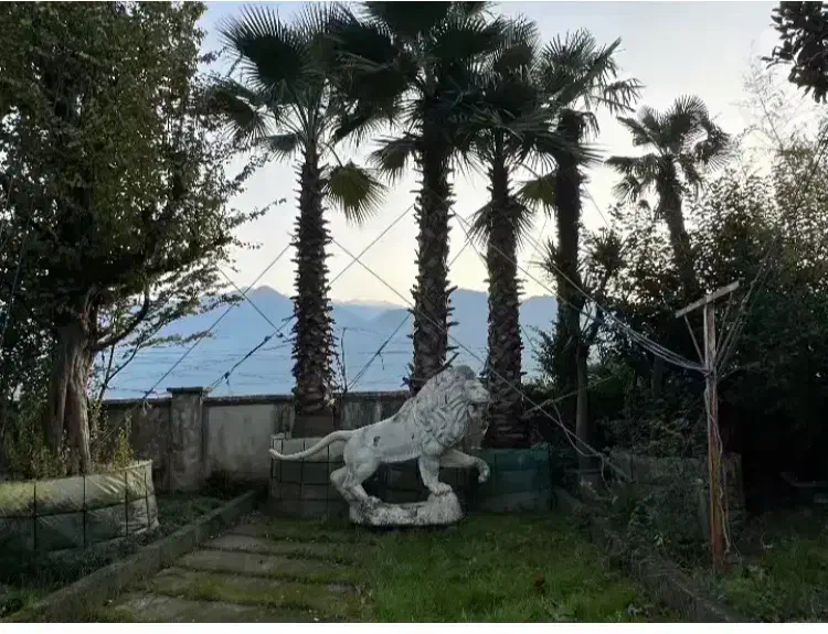 فروش ۳۰۰ متر زمین شهرکی در گلستان ایزدشهر