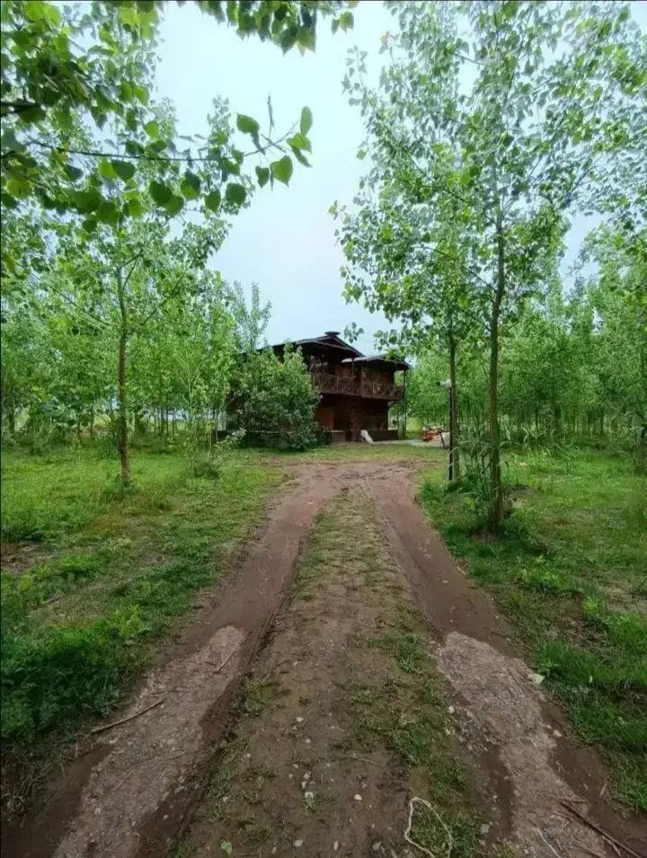 زندگی در رویلایی واقعی