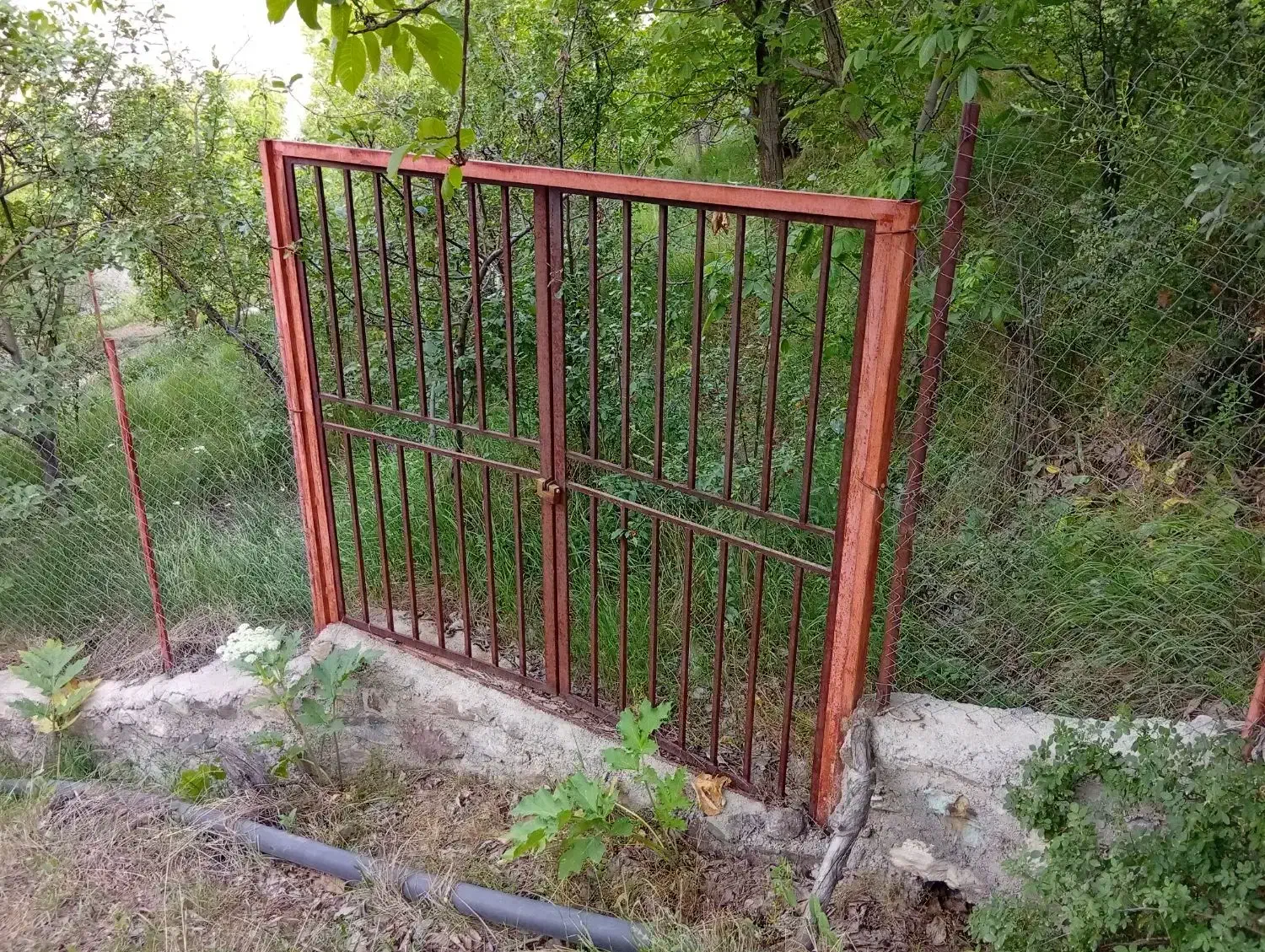 زمین امامه پایین