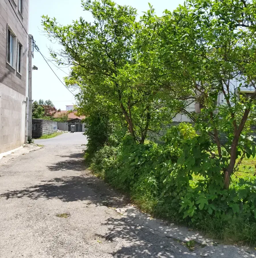 فروش زمین با کاربری مسکونی