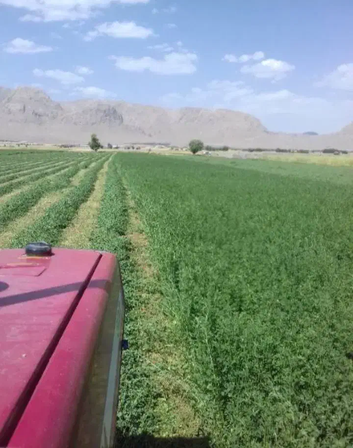 زمین کشاوزی