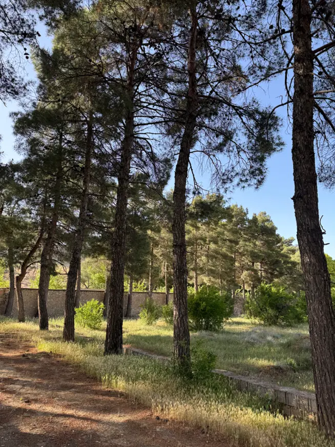 زمین باغشهری گویم