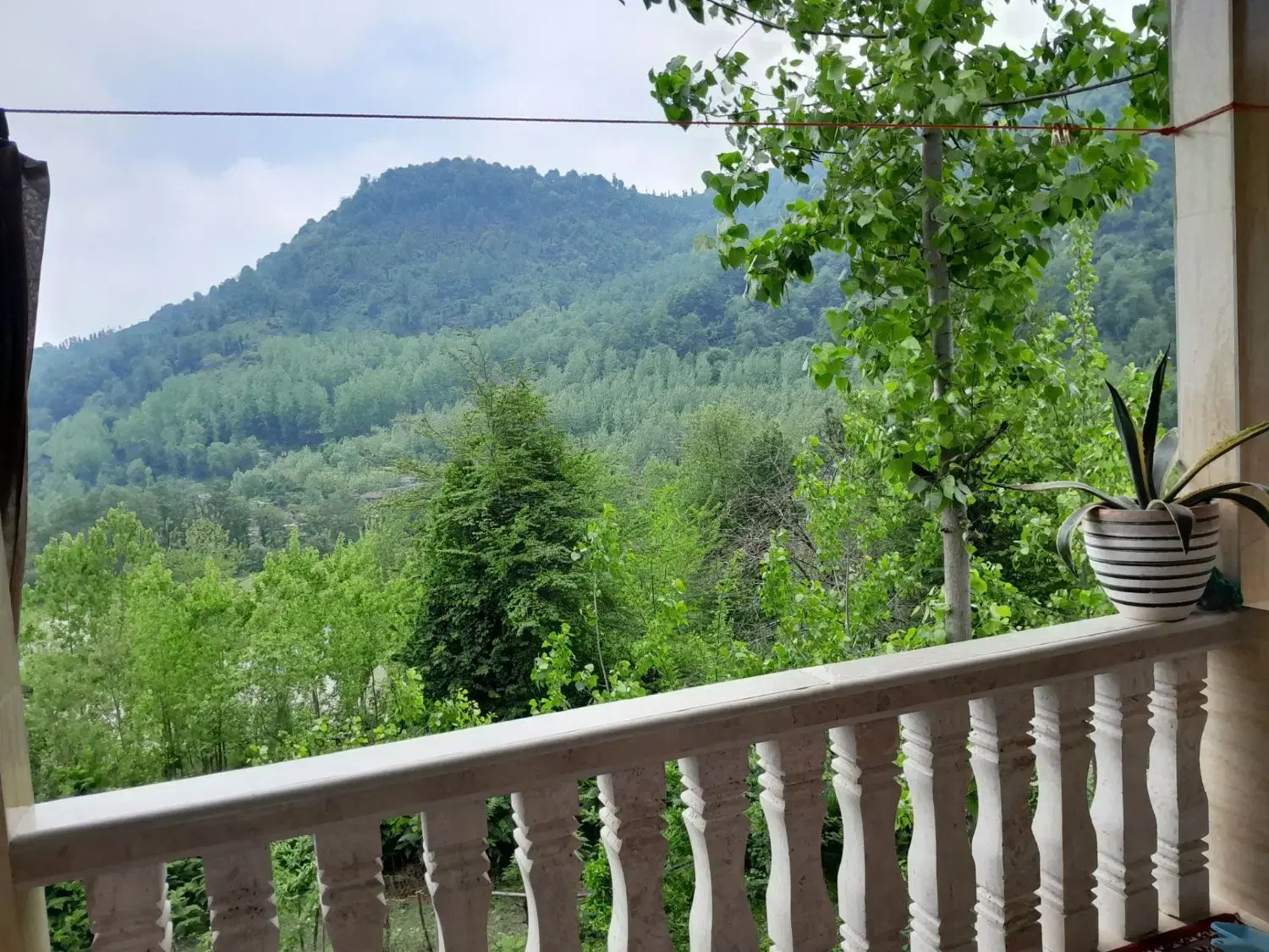 اجاره ویلای جنگلی