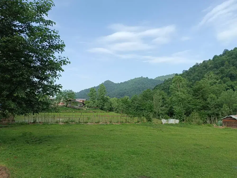 اجاره کلبه