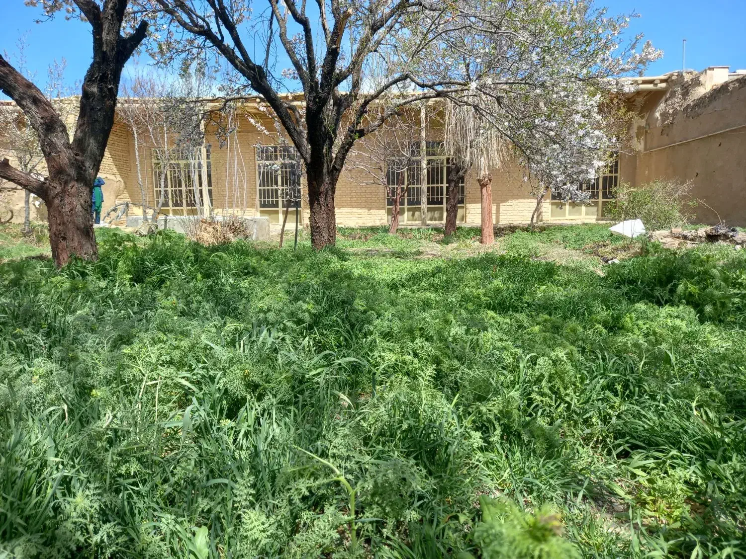 باغ ویلای روستایی