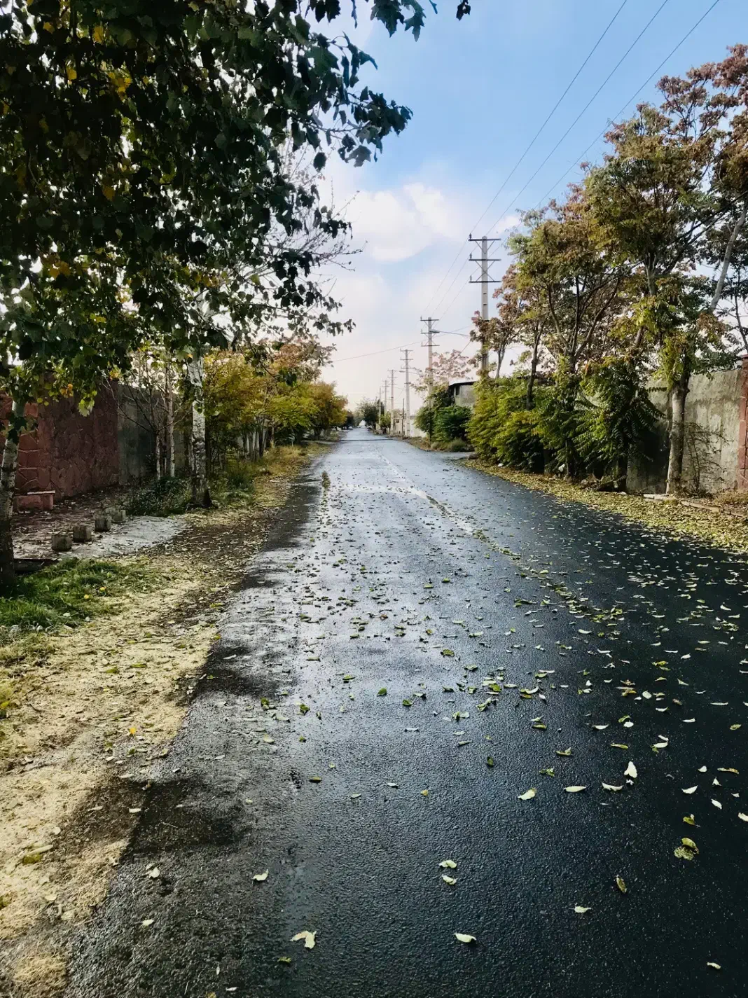 زمین ۳۲۱ متر