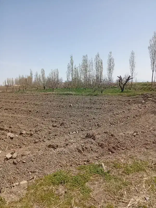 روستای برگشاد