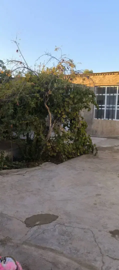 منزل ۳۵۰ متری سند تک برگ