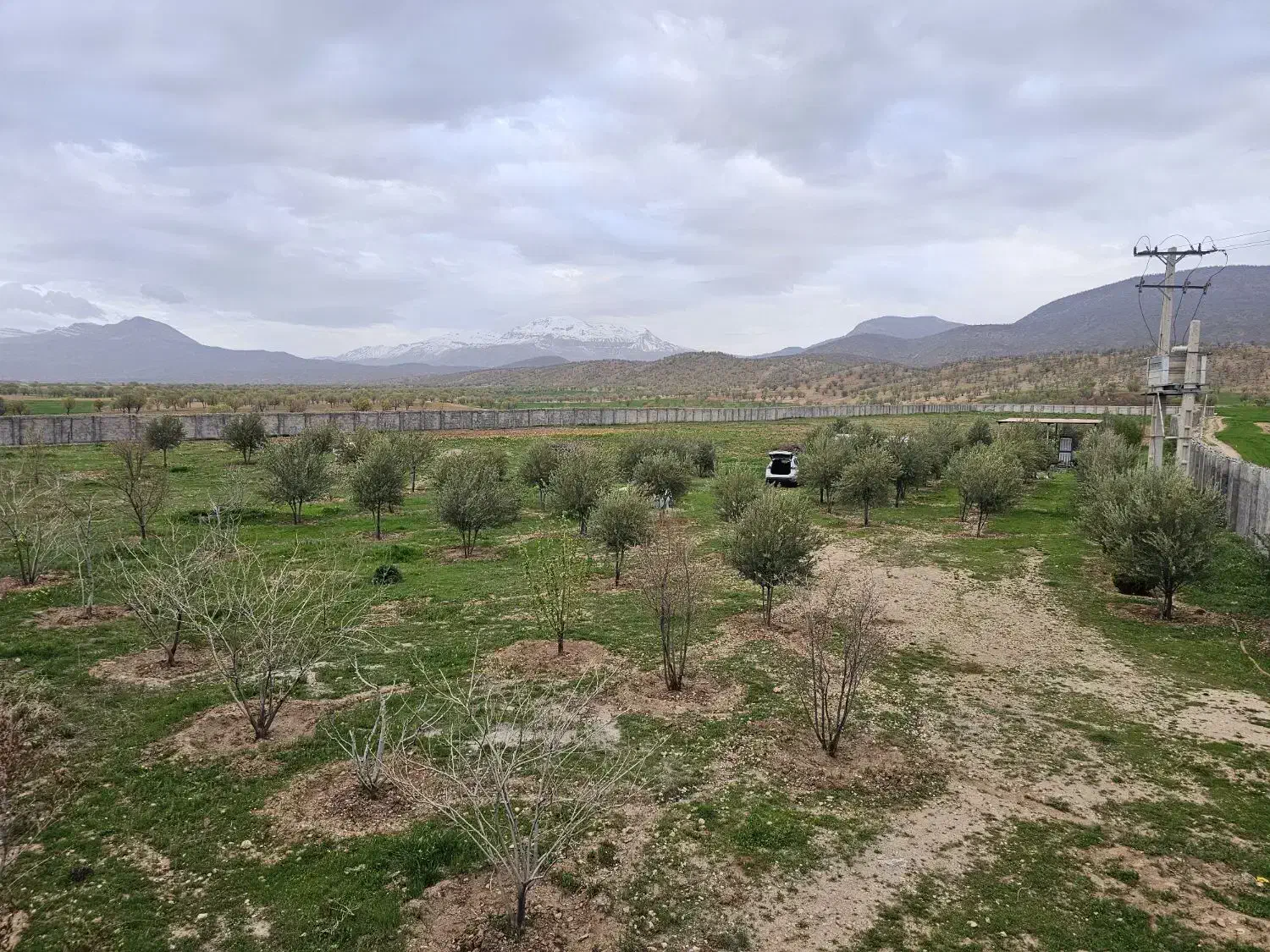 زمین کشاورزی وطرح گلخانه با همه امکانات