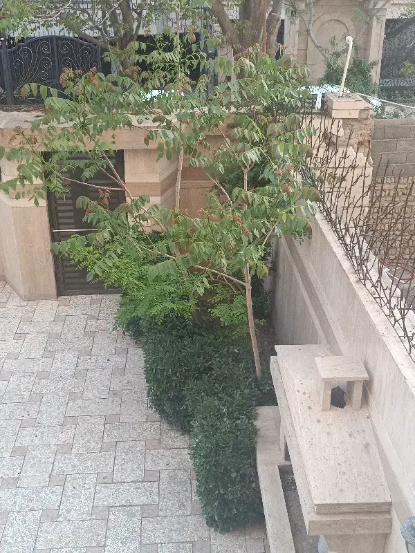 زمین 302 متری سروش گستر داخل طرح