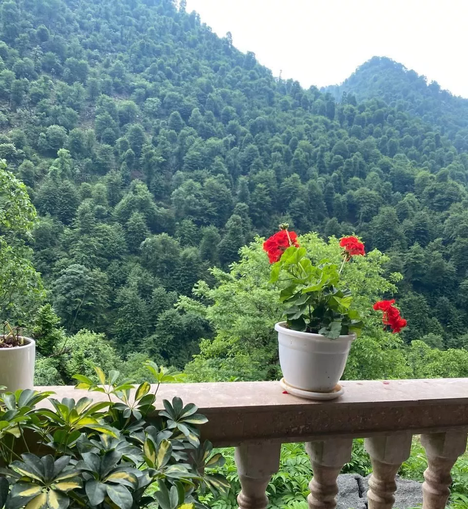 ویلا جنگلی نزدیک ابشار جاده ییلاق اولسبلنگاه