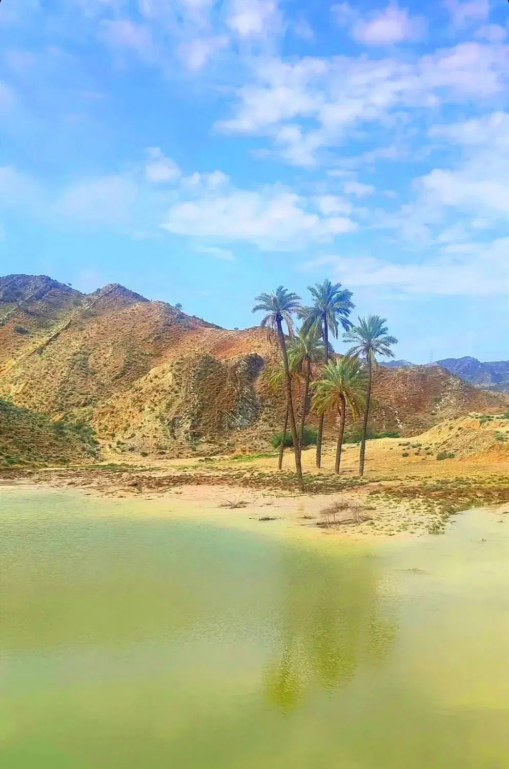 فروش زمین خورموج روستای محمداباد
