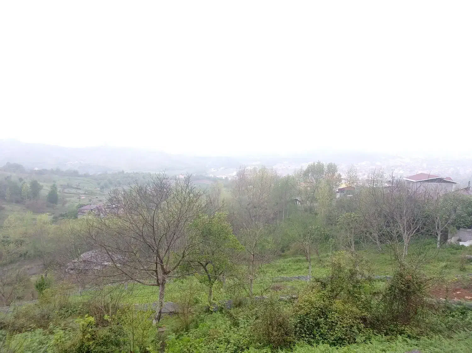 زمین مسکونی سیصد و سی متر دو کله ممتاز