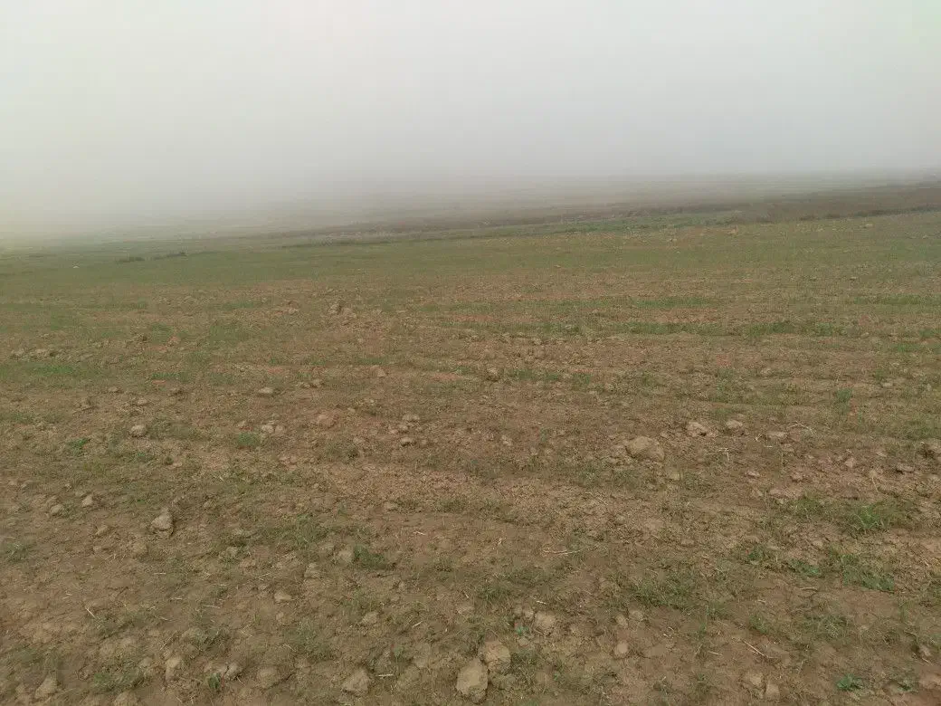 فروش ۳۰۰۰ هزار متر زمین در جاده قدیم بدرانلو