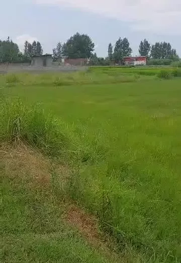 ملک تجاری و مسکونی زرگر شهر بابل