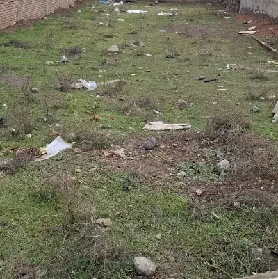 یک سهم زمین کارشناسان  کارکنان شهرداری سند تک برگ