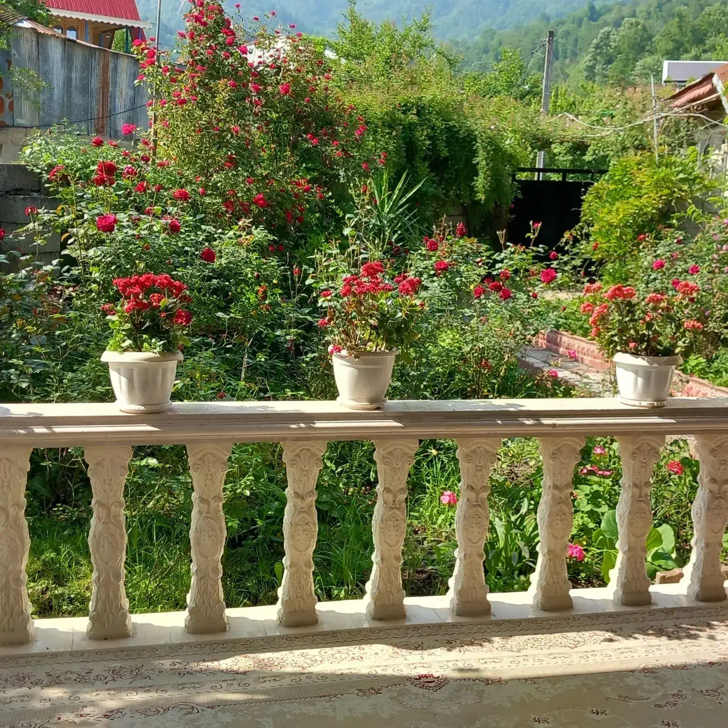 اجاره روزانه ویلا دربست مرکیه ماسال
