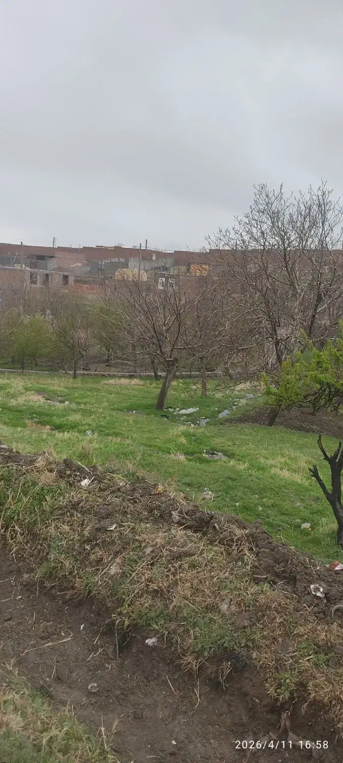 زمین ویلایی