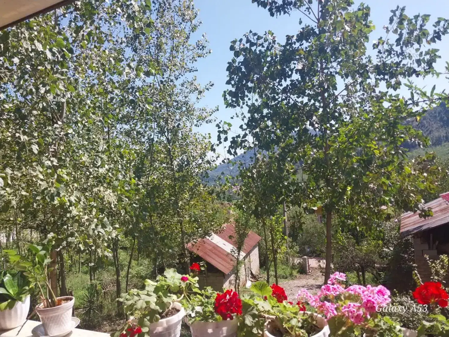 ویلاجنگلی کوهستانی ماسال