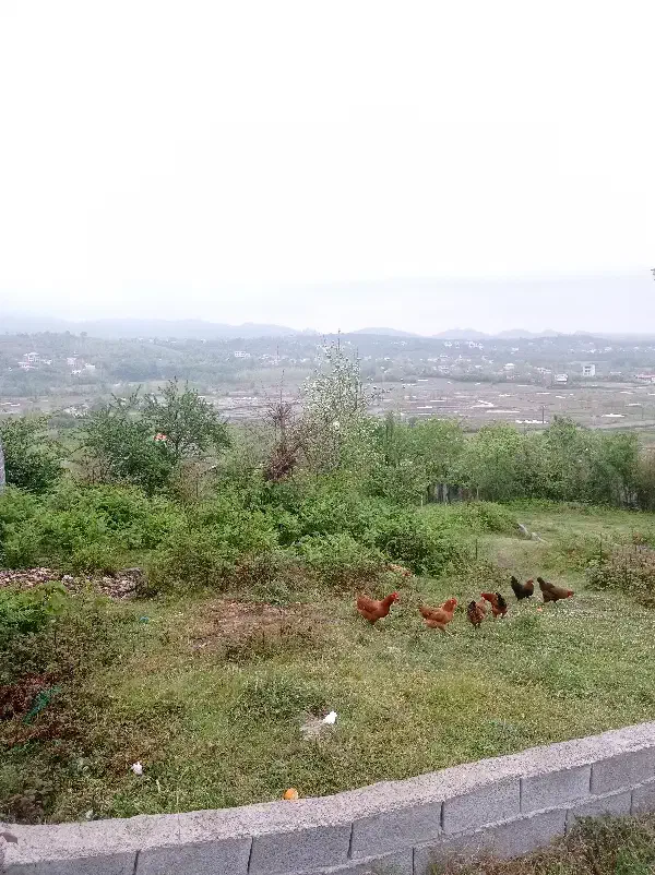 ۹۰۰ متر زمین ۱۳۰ متر جواز مسکونی