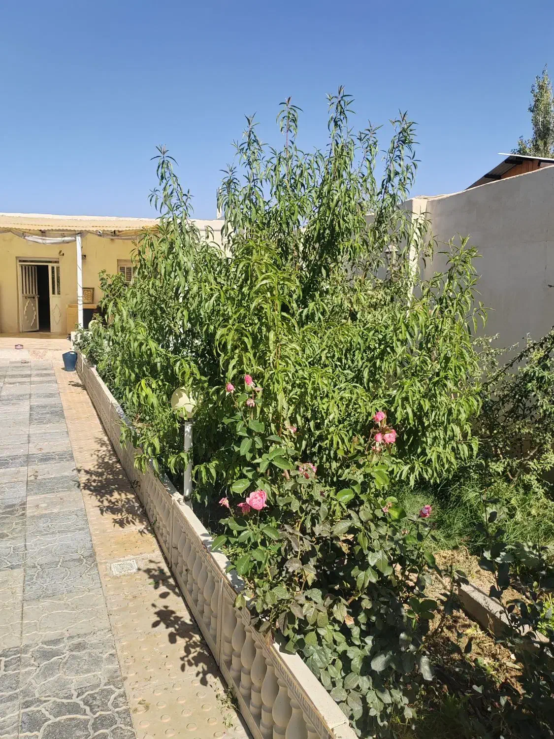 خانه باغ روستای حشمتیه