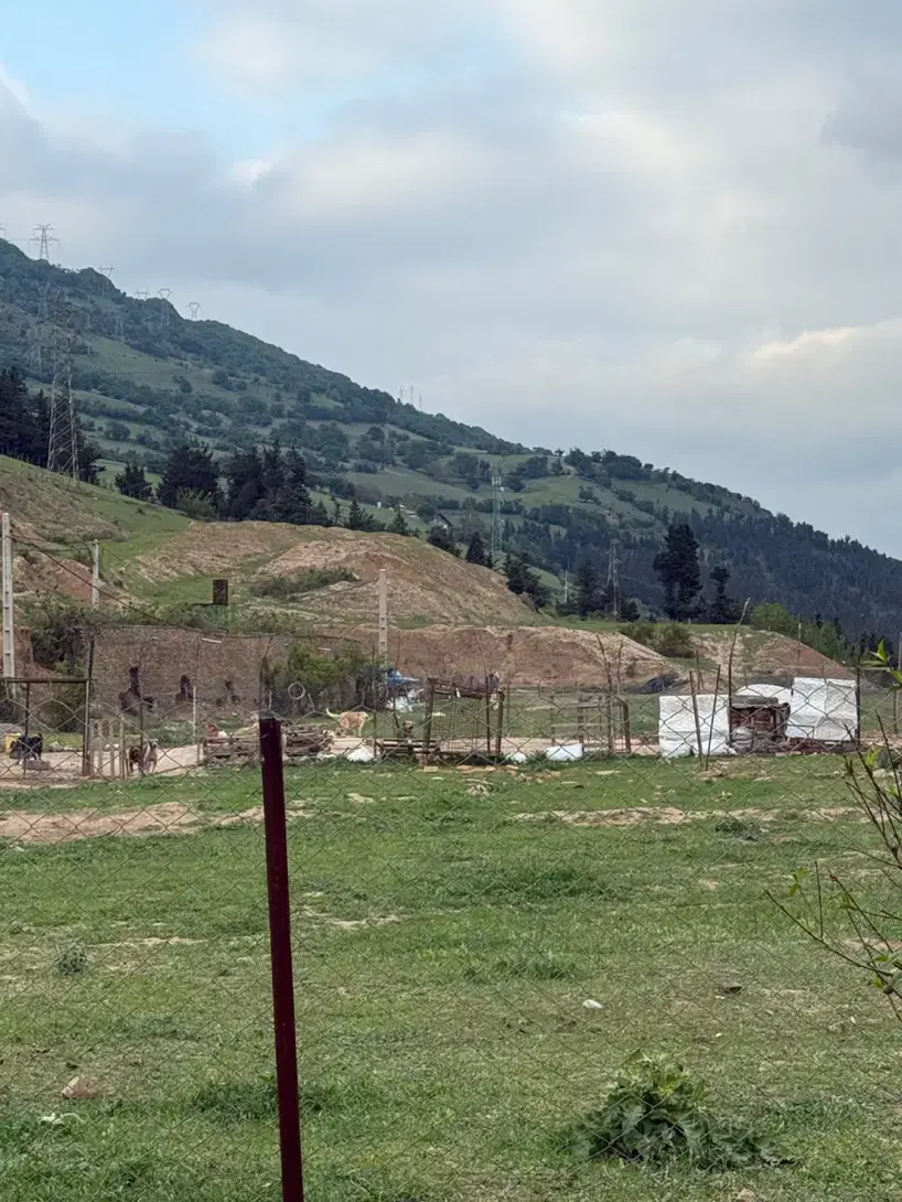 اجاره زمین با سوله