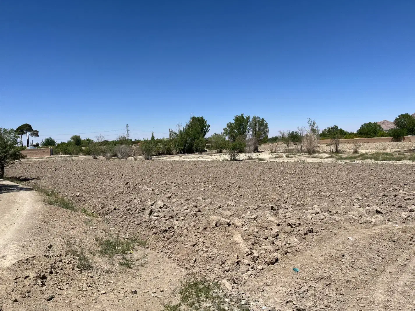 زمین کشاورزی با سند شش دانگ