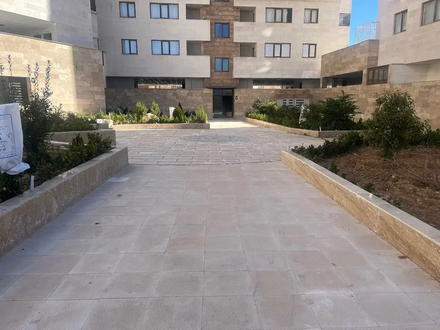 فروش سروقامتان
