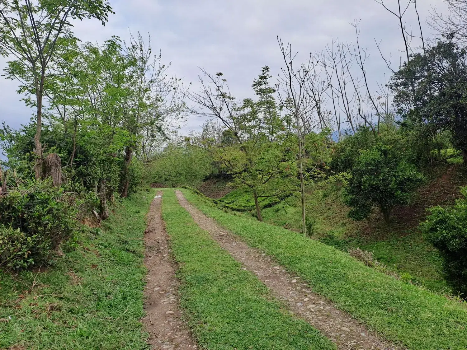 ۹۰۰متر زمین  با خونه سنتی قابل سکونت