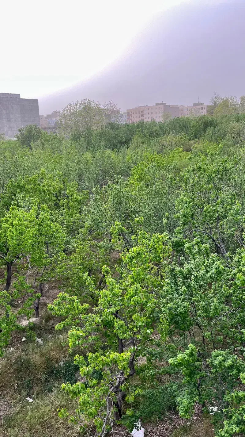 سالن اجاره ای ۱۳۰ متری شهریار