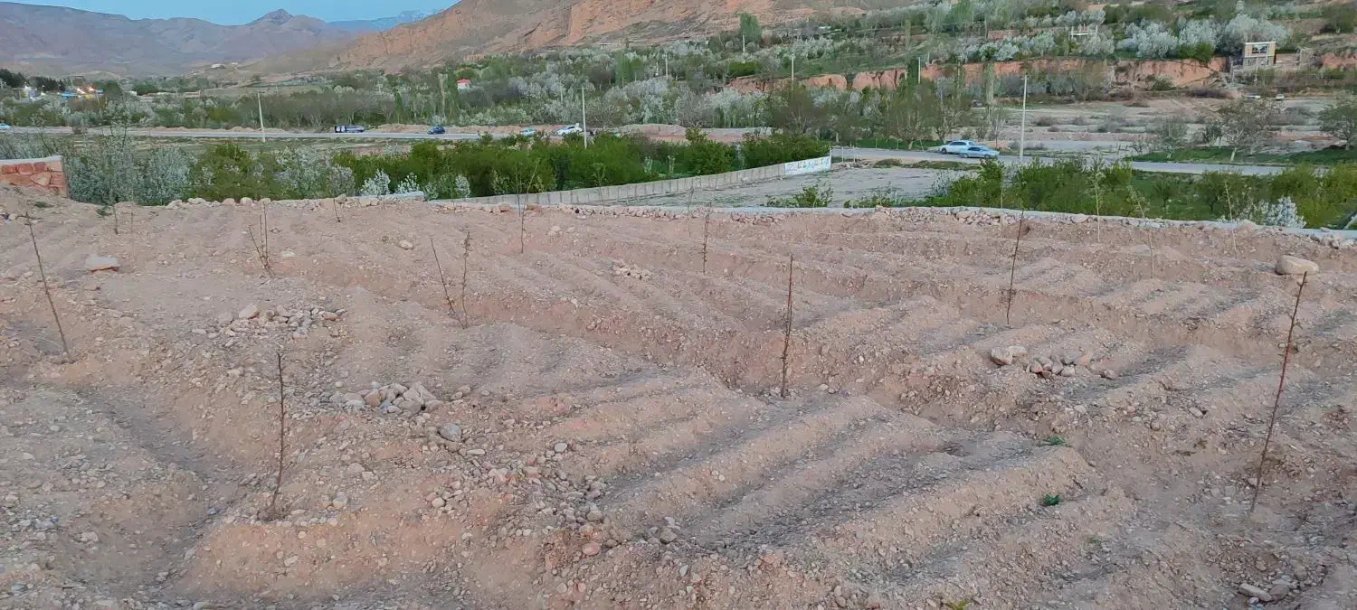 زمین باغی بعد چنار سوخته