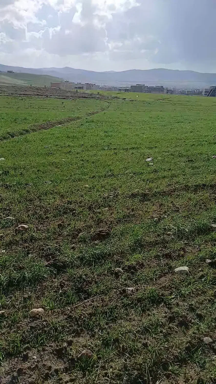 زمین کشاورزی ابی