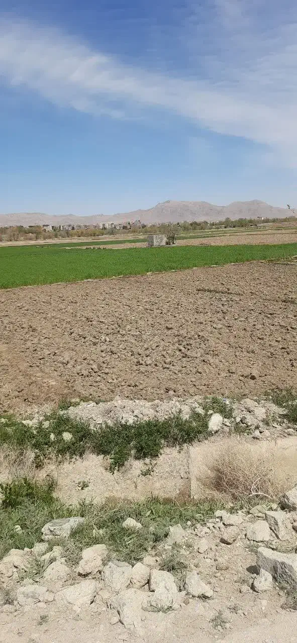 زراعی بر جاده و مادی و جوق از کنار زمین میگذره