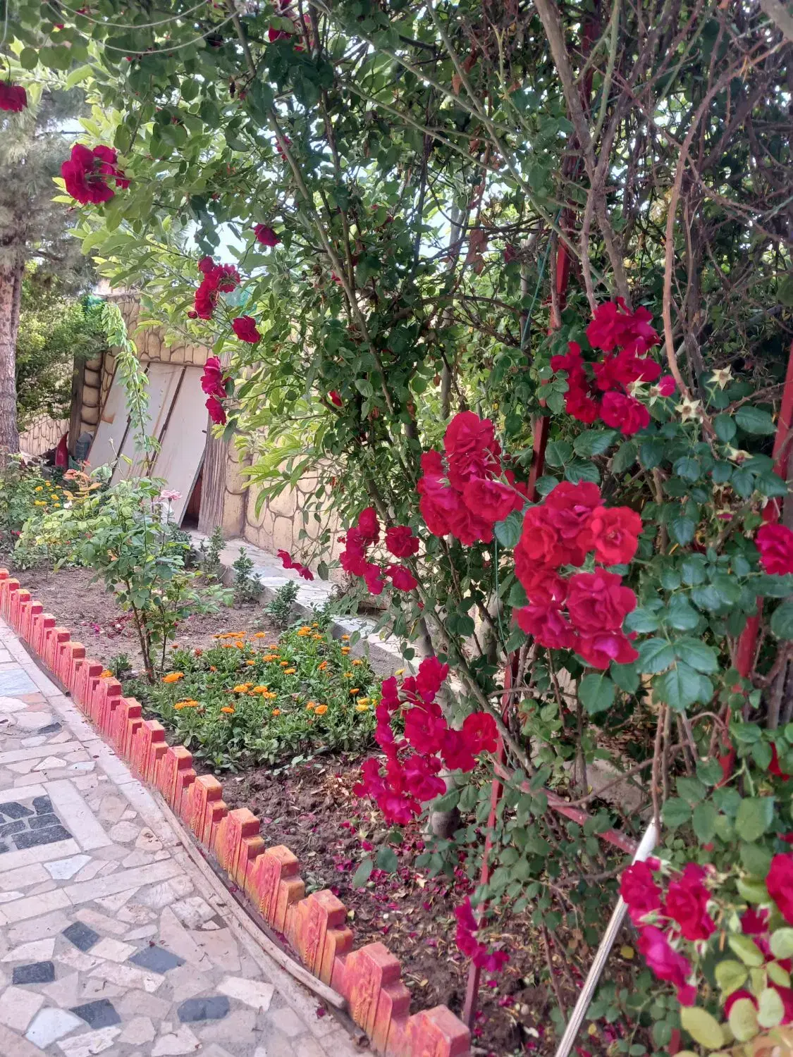 خانه ویلایی سند ششدانگ ملکی