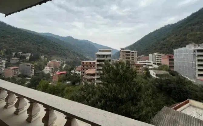 مشاور املاک  پالم