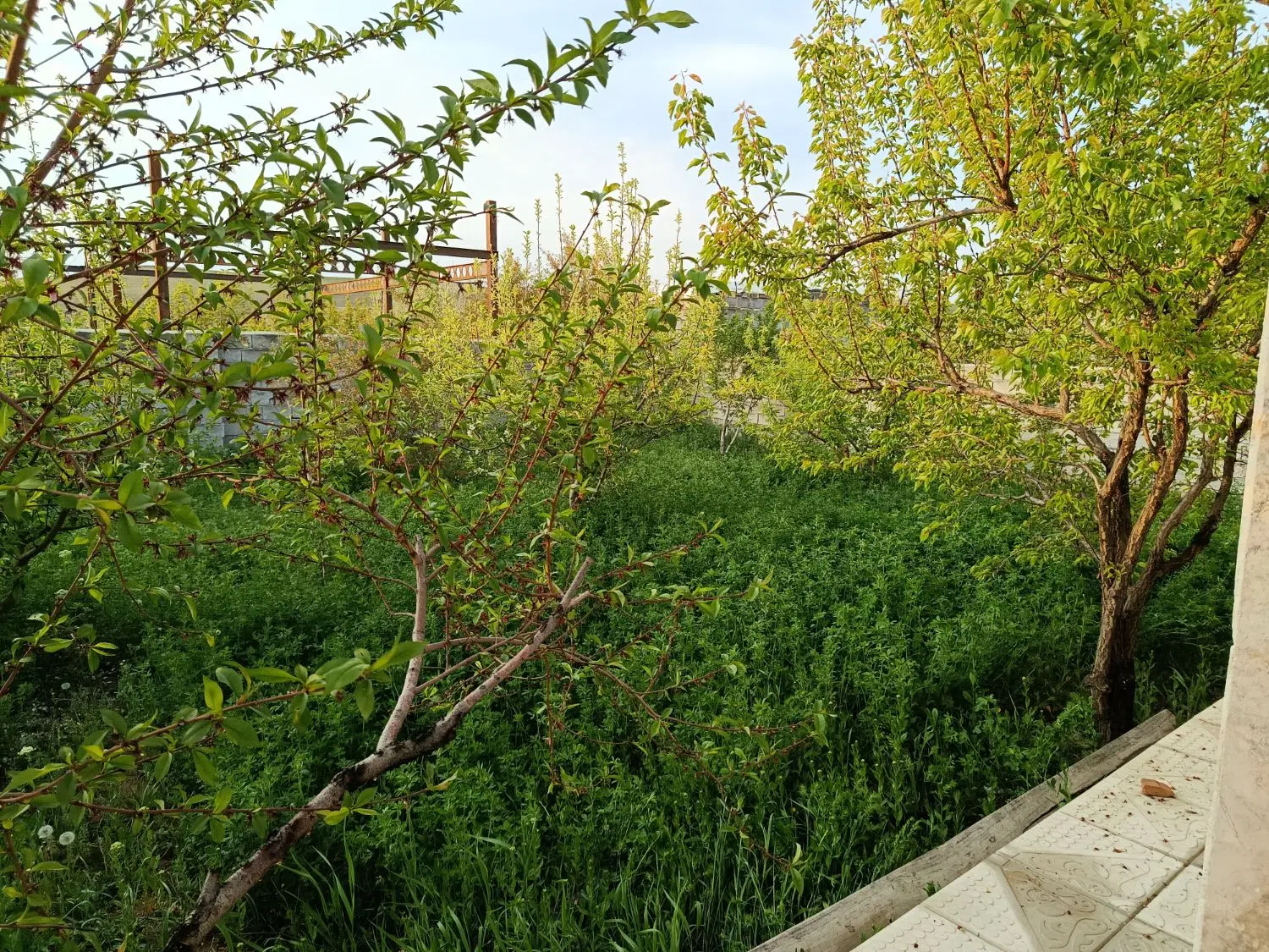 ویلا روستای زین اباد