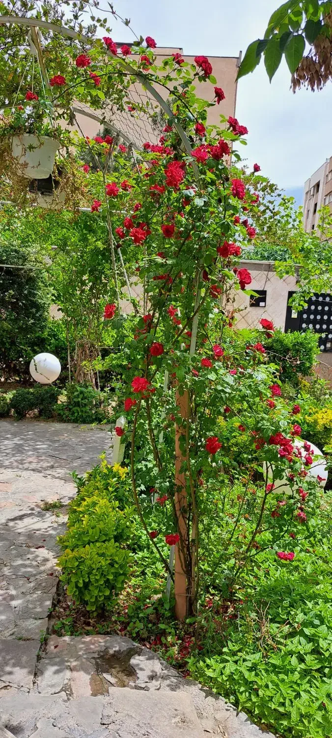 فروش تجاری یا تهاتر با مسکونی